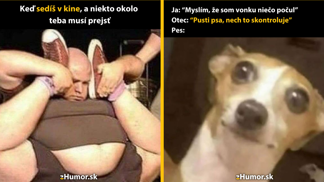 Zopár memečiek, ktoré vznikli, aby ti spríjemnili deň #1485: Len si poslúžte, ja sa uhnem.