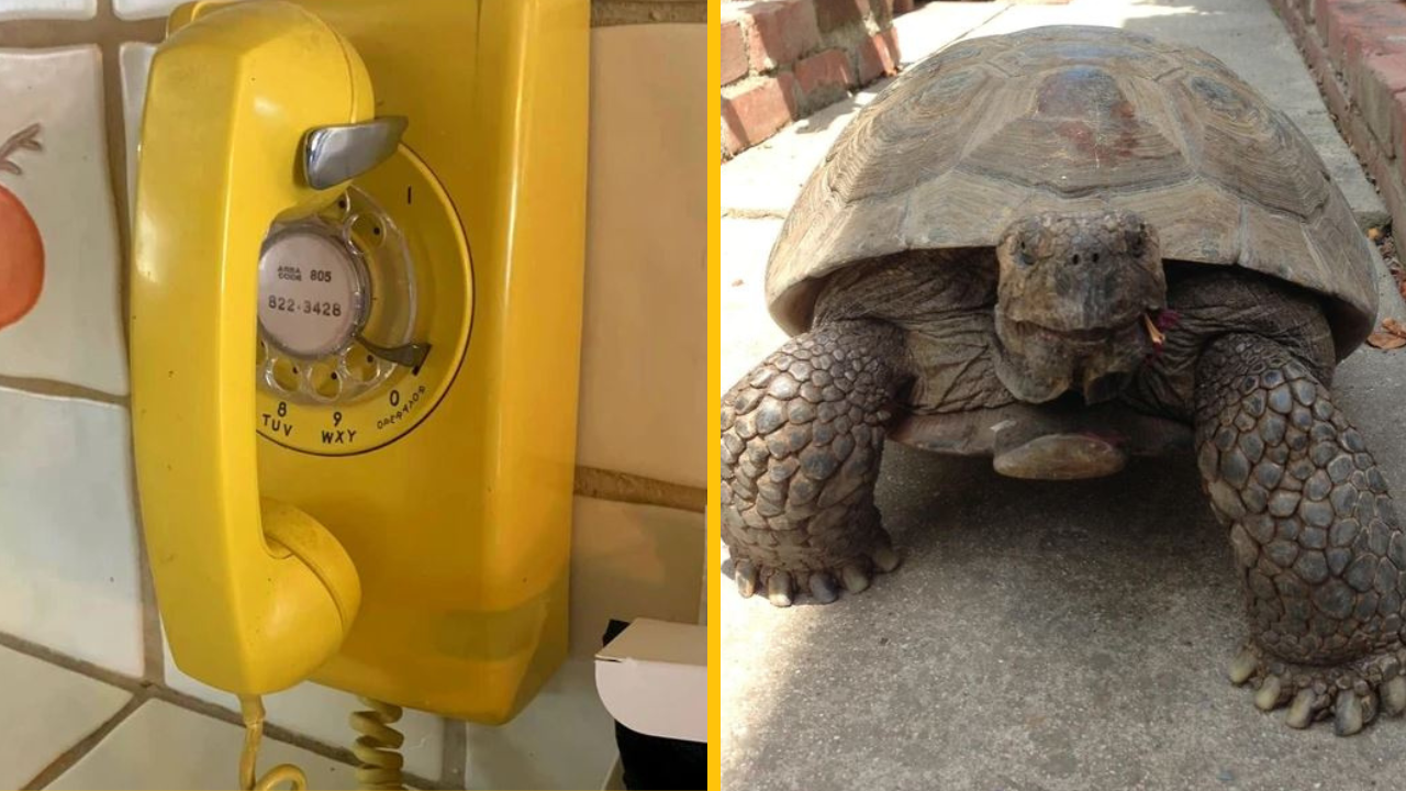 Fotografie, ktoré dokazujú, že dedičstvo nemusí byť vždy len vo forme veľkého majetku