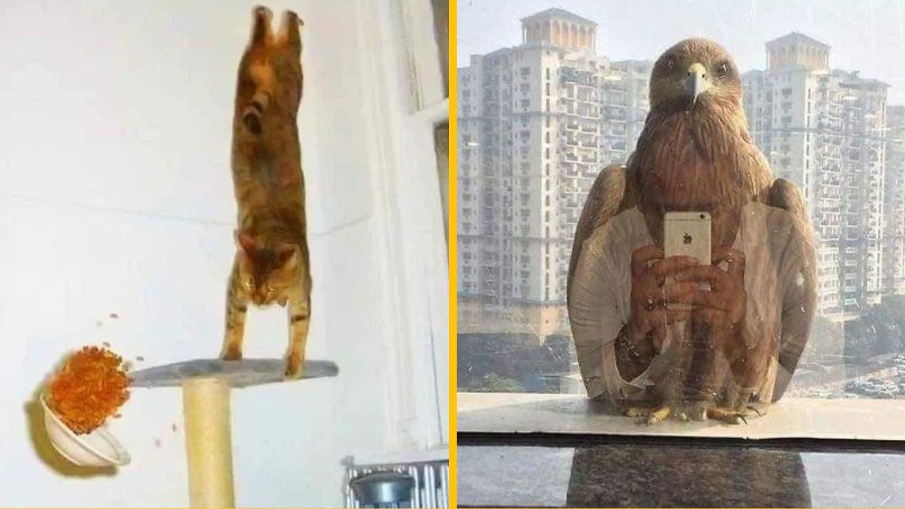 10 vtipných perfektne načasovaných fotiek, ktoré vás rozosmejú