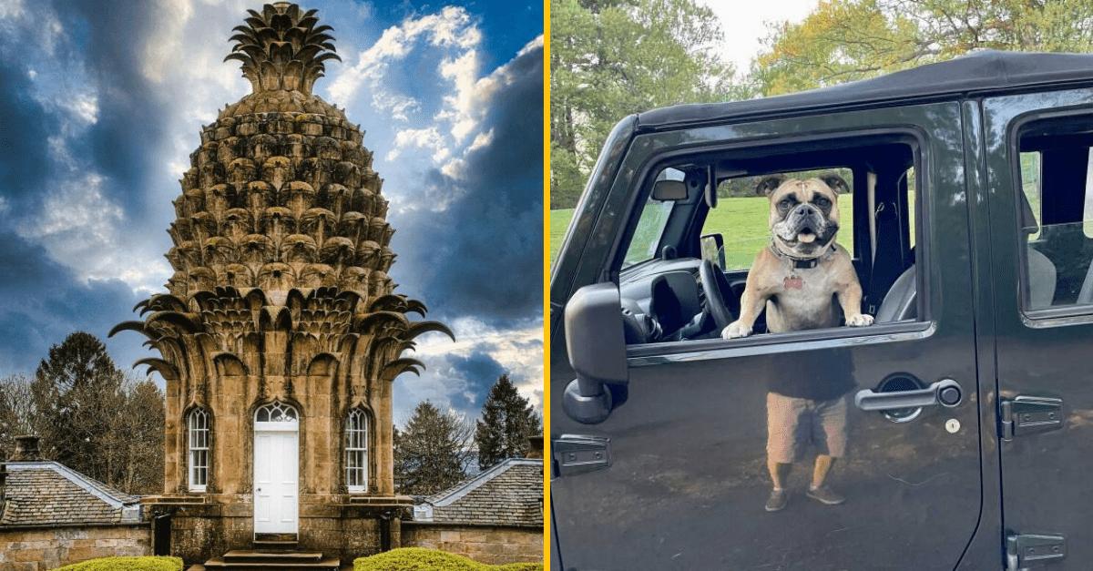 30+ Obrázkov, ktorými dokonale zabiješ čas #482 – Pivová torta ale ja najdlhšia hranolka akú ste videli