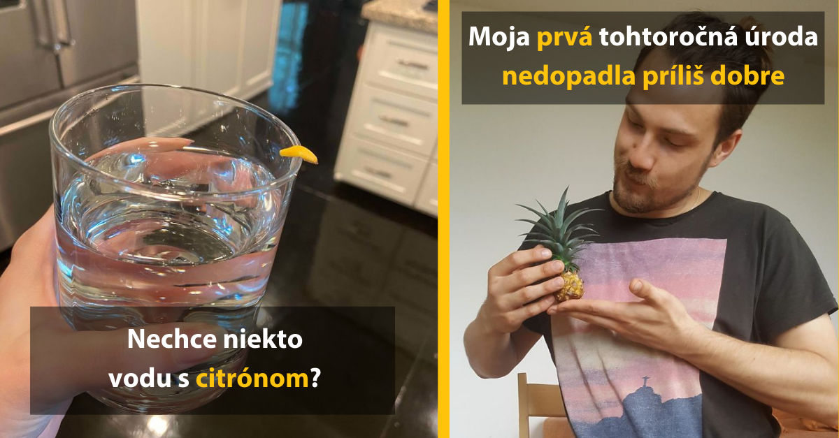 20 ľudí, ktorí sa so svetom podelili o svoje pestovateľské nepodarky