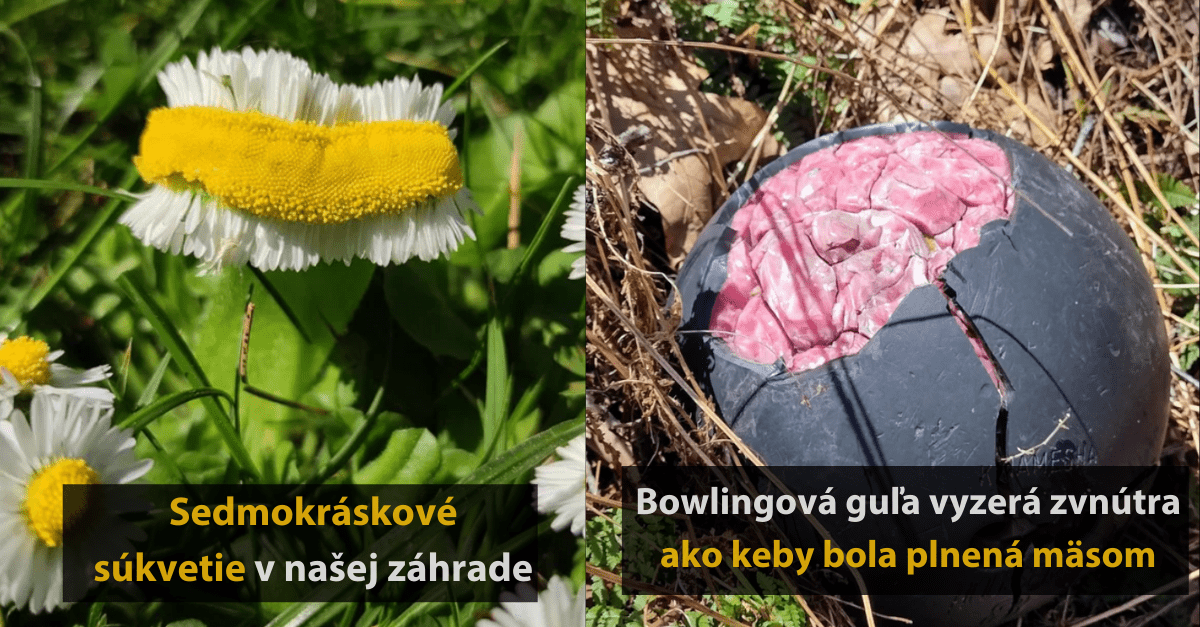 16 ľudí, ktorí sa s internetom chceli podeliť o svoje geniálne objavy