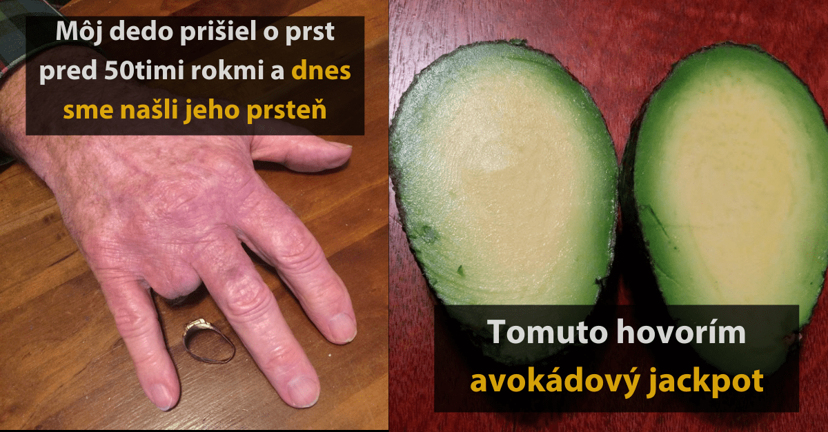 20 milých fotografií a príehov, ktoré vám dnes spravia deň. Tak to vyzerá, keď sa ľuďom pošťastí