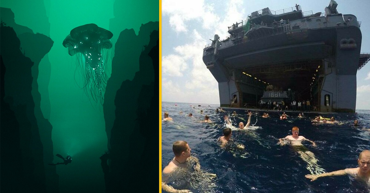 19 desivých a zároveň fascinujúcich záberov, ktoré nie sú pre ľudí s talasofóbiou