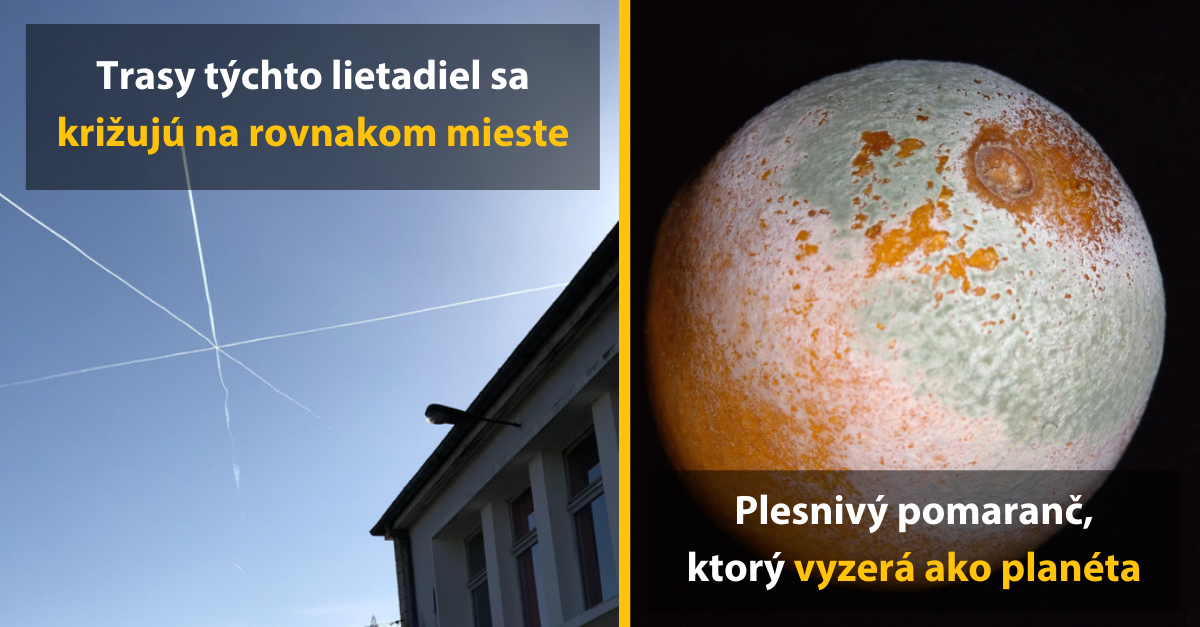 14+ skvelých fotografií, ktoré sa človeku nepodarí zachytiť každý deň