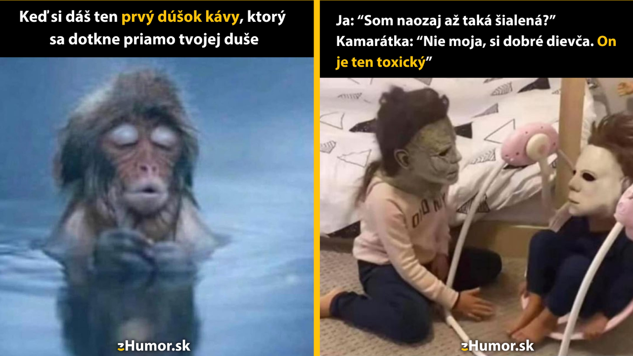 Zopár memečiek, ktoré vznikli, aby ti spríjemnili deň #1486: Presne toto som potreboval.