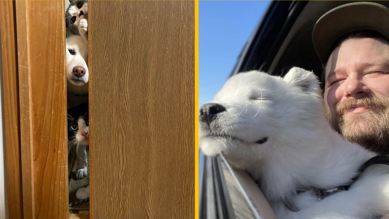 Fotografie, ktoré vyžarujú poriadnu dávku roztomilosti