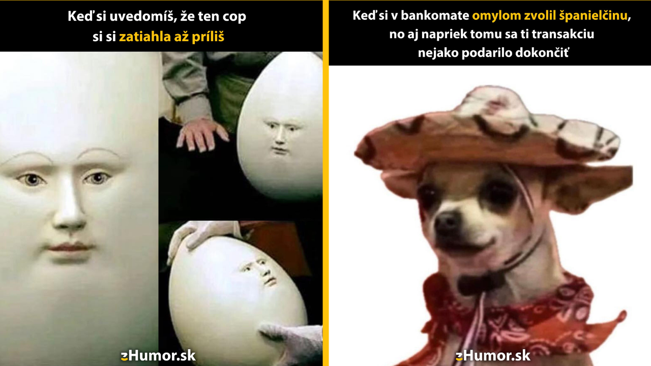 Zopár memečiek, ktoré vznikli, aby ti spríjemnili deň #1495: Tak toto som prehnala.