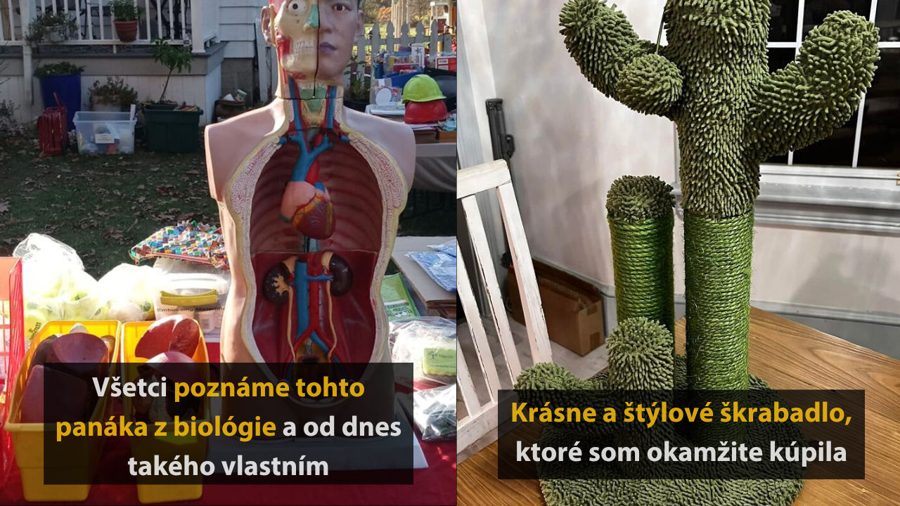 10 prípadov, kedy ľudia mali šťastie a našli poklady z druhej ruky #2