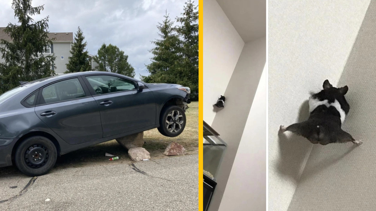 14-krát, kedy ľudia objavili veci, nad ktorými krútili hlavou