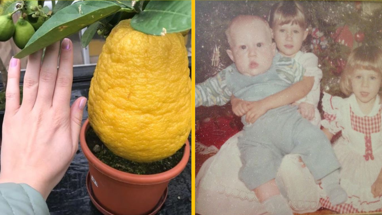 Nadrozmerné veci, v porovnaní s ktorými by ste sa cítili ako trpaslíci