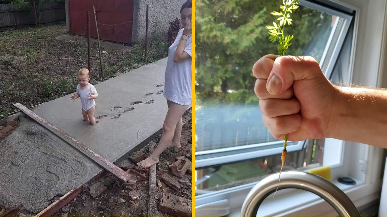 10 ironických fotografií, na ktorých sa zasmejú hlavne škodoradostní ľudia #2