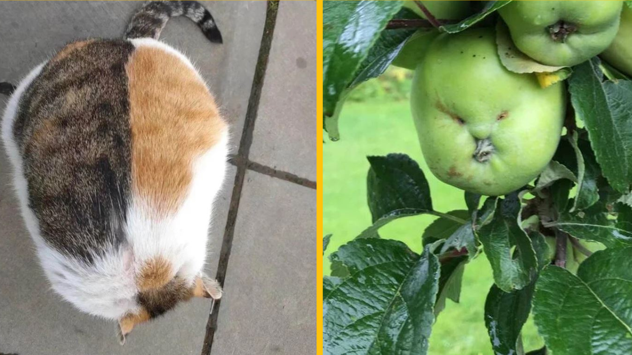 Fotografie, ktoré rozpútajú vo vašich očiach a mozgu nekonečnú diskusiu