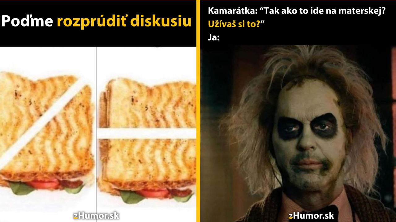 Zopár memečiek, ktoré vznikli, aby ti spríjemnili deň #1511: Tak ako to má byť správne?