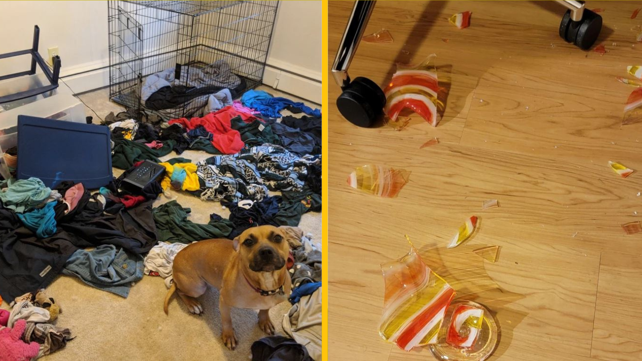 Títo ľudia by vám presne vedeli povedať, čo znamená pojem fiasko