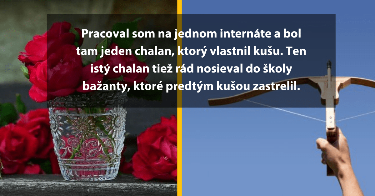 10 učiteľov a učiteliek zdieľa najbizarnejšie veci, ktoré si do školy doniesli ich žiaci