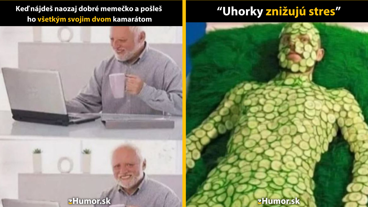 Zopár memečiek, ktoré vznikli, aby ti spríjemnili deň #1504: Tak týmto ich všetkých dostanem.