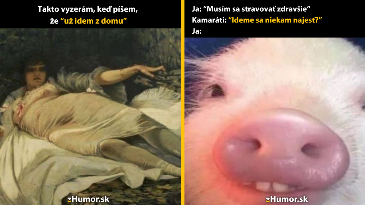 Zopár memečiek, ktoré vznikli, aby ti spríjemnili deň #1501: Už som na ceste.