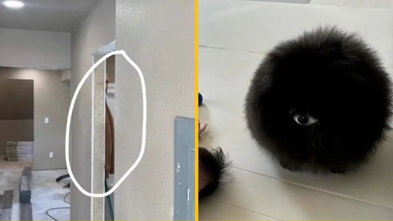 10 bláznivých fotiek z tohto týždňa, ktoré doslova vyzvú vašu myseľ na najvyššie obrátky