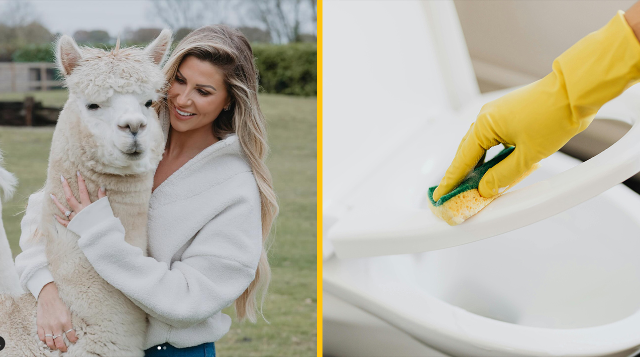 Ľudia sú ohromení „skrytým“ tlačidlom na toalete, ktoré uľahčuje čistenie