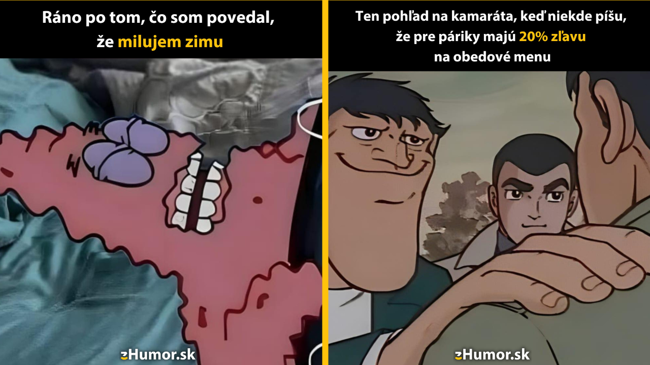 Zopár memečiek, ktoré vznikli, aby ti spríjemnili deň #1507: Ja milujem zimu, vôbec mi nevadí.