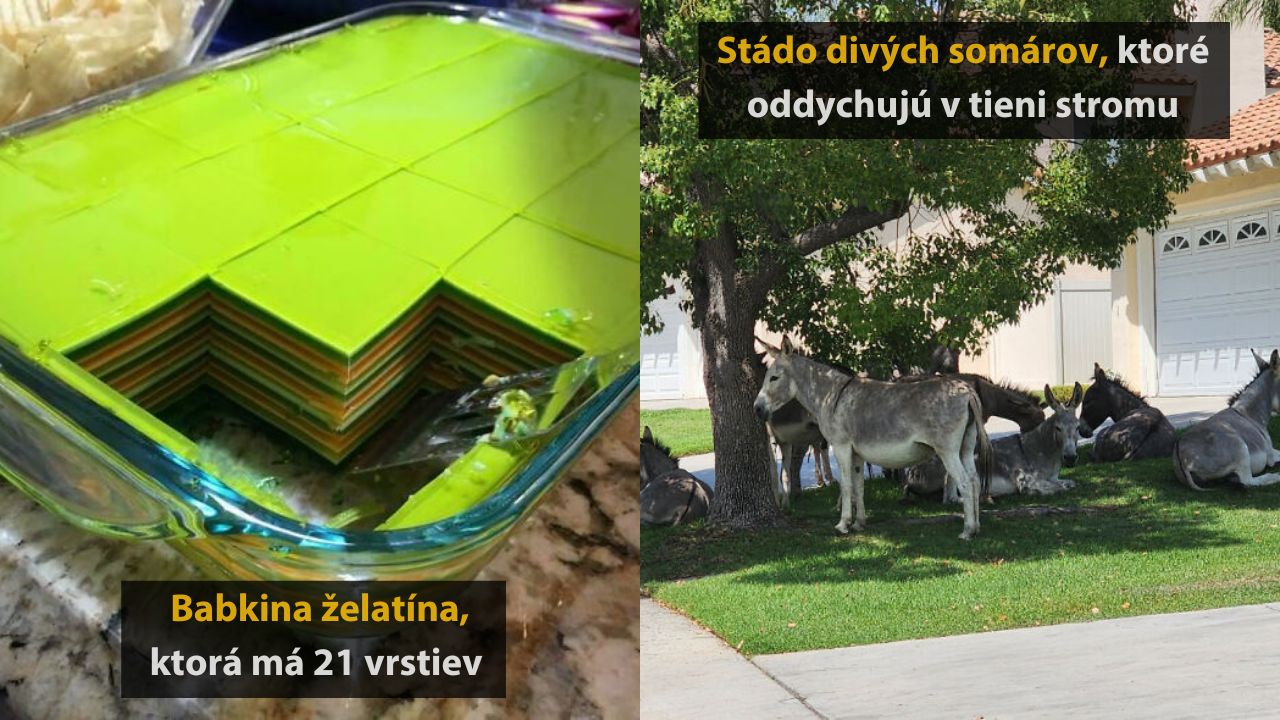10 zaujímavých a jedinečných fotografií z celého sveta #1