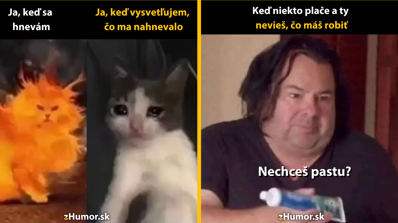 Zopár memečiek, ktoré vznikli, aby ti spríjemnili deň #1522: Citlivosť je moje druhé meno.