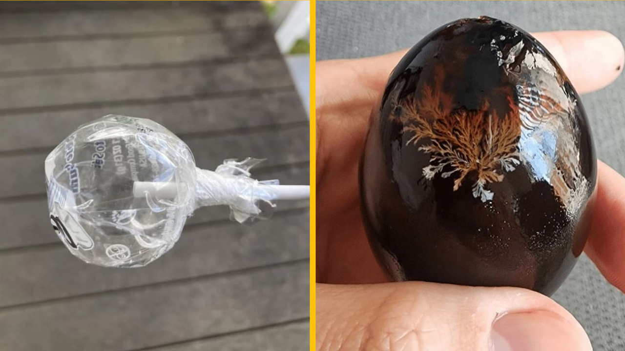 14 úžasných momentov, ktorými nás príroda úplne ohromila