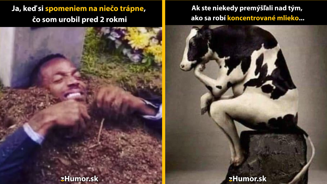 Zopár memečiek, ktoré vznikli, aby ti spríjemnili deň #1517: Určite sa ešte stále na mne každý smeje.