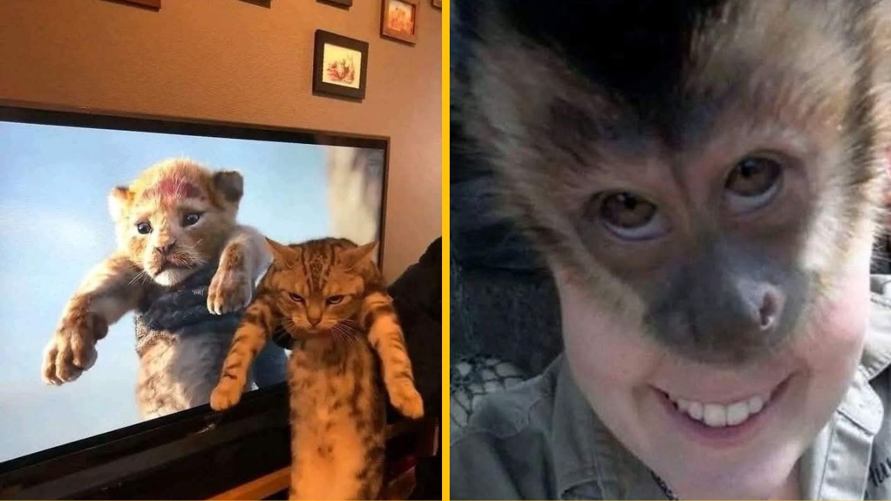 10 vtipných fotiek, ktoré boli vytvorené v ten najsprávnejší moment