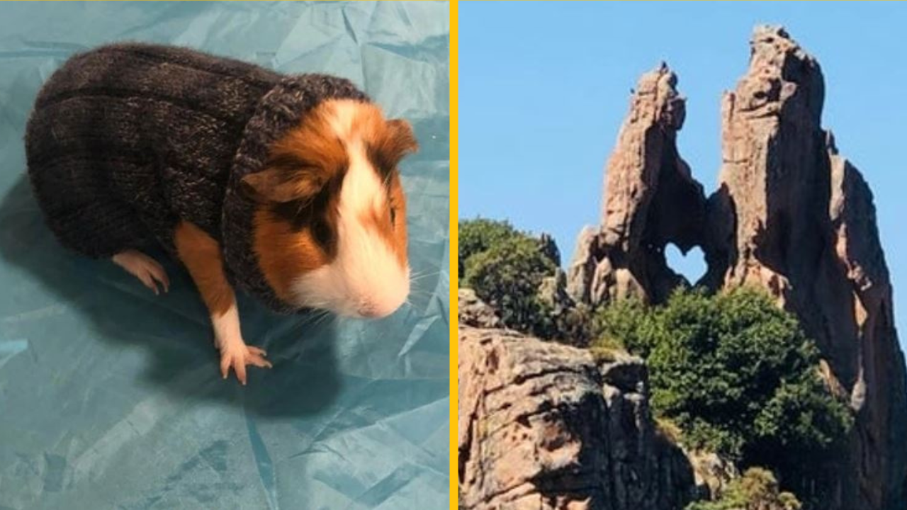 Maličkosti, vďaka ktorým sa ľudia cítili ako v inom svete