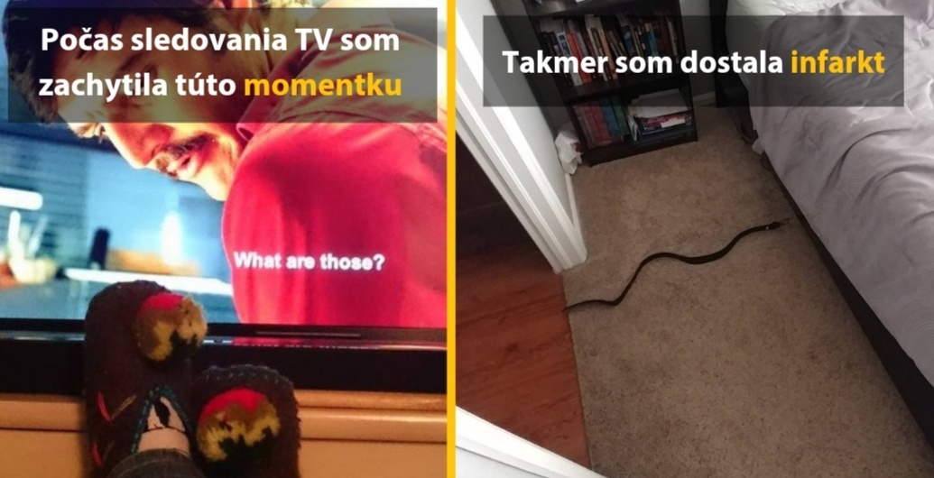 14 zábavných fotografií, ktorých načasovanie je priam dokonalé
