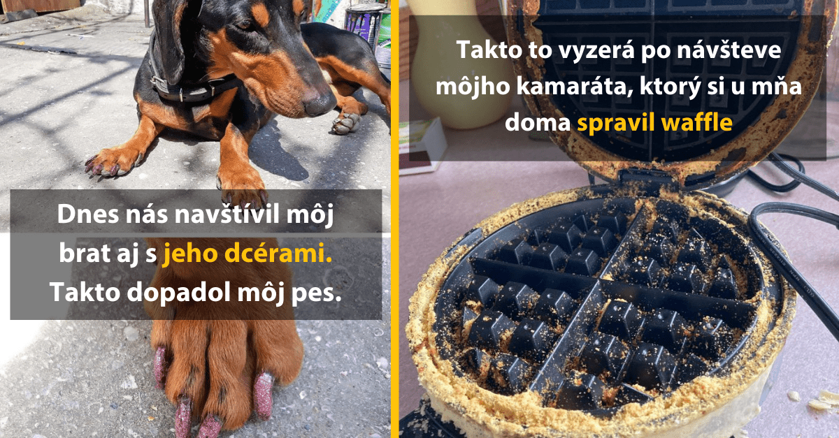 13 komických príbehov o návštevách, ktorých pozvanie ľudia trpko oľutovali