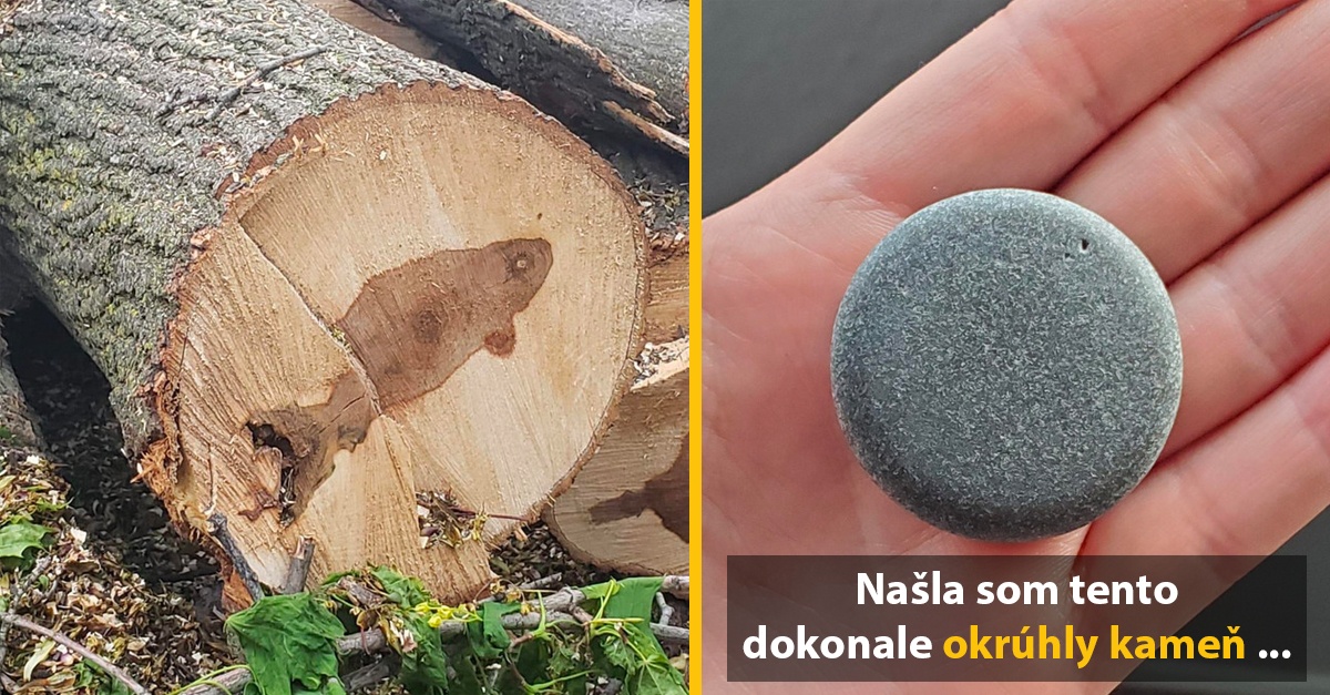 10+ fotografií, ktoré dokonale zachytávajú fascinujúcu silu matky prírody