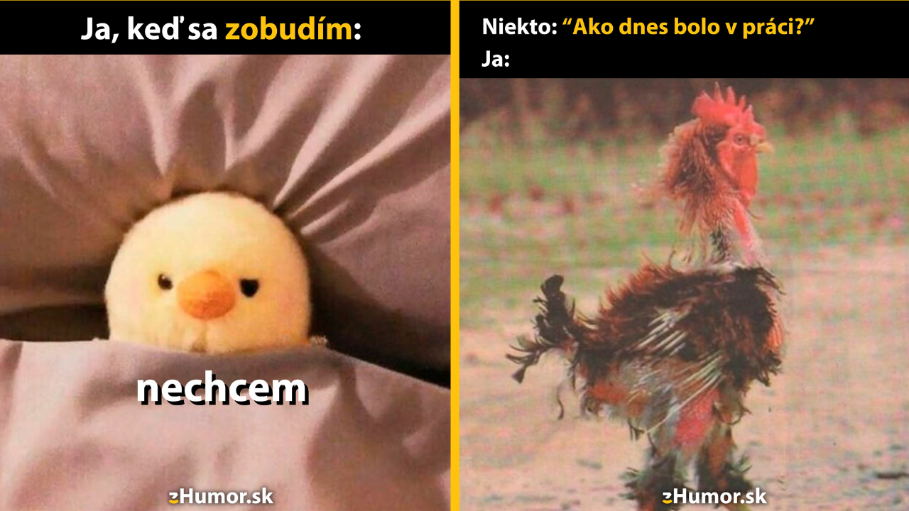 Zopár memečiek, ktoré vznikli, aby ti spríjemnili deň #1523: A to naozaj musím?