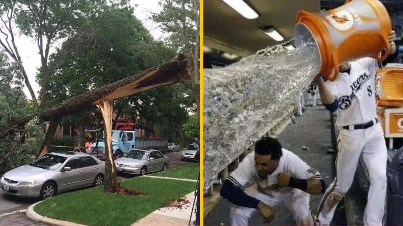 10 vtipných fotiek ľudí, ktorí mali naozaj obrovské šťastie