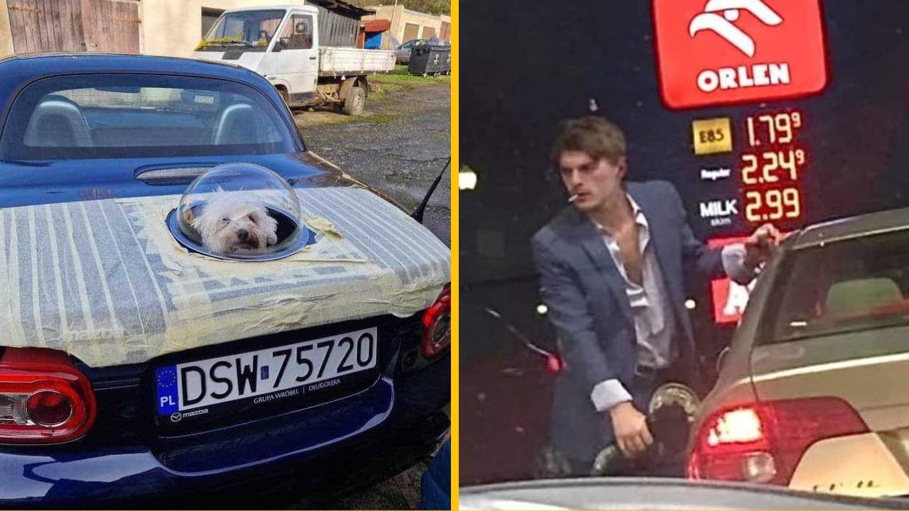 10 zábavných fotiek, ktoré je možné vidieť iba v Poľsku #5