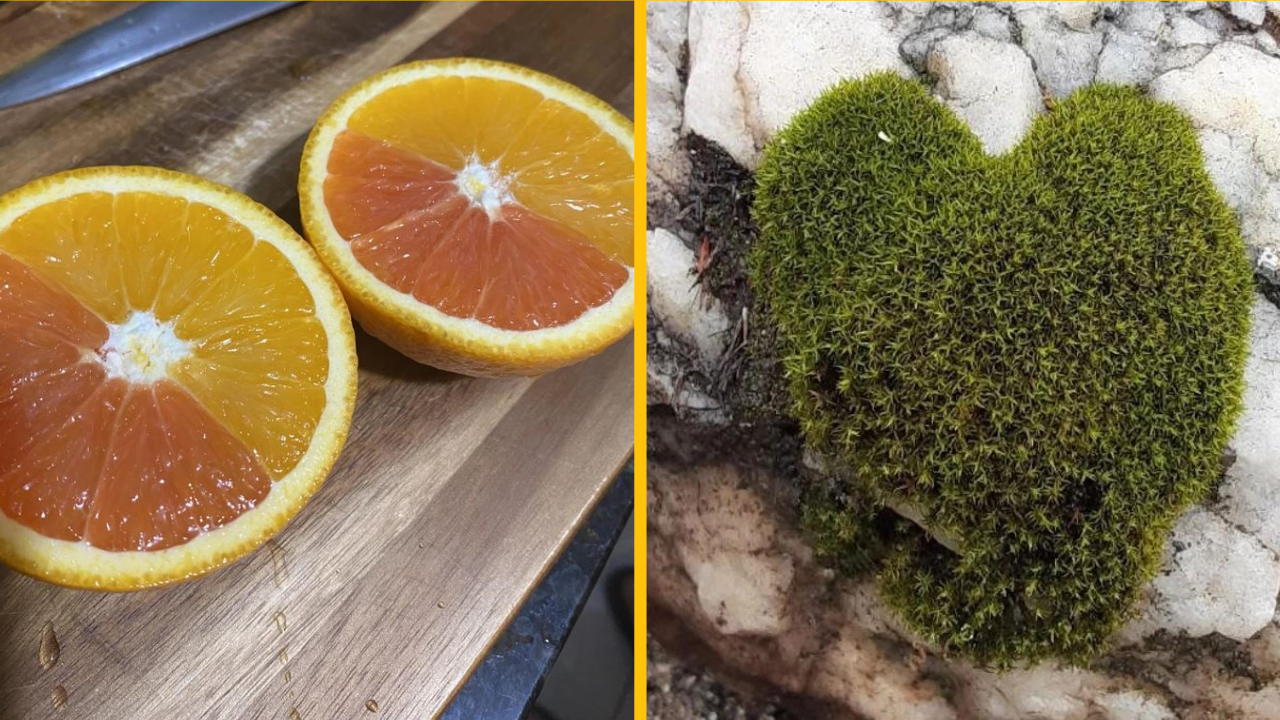 15 ľudí, ktorých deň bol všetko, len nie nudný