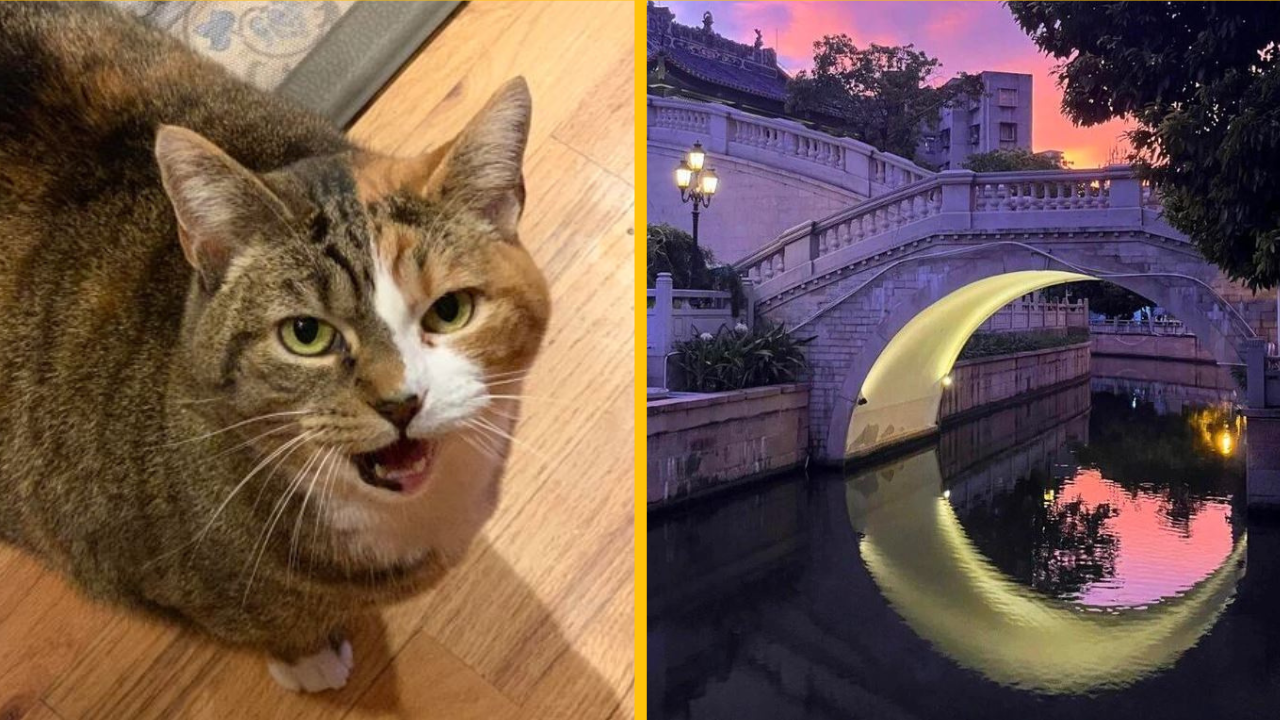 20 momentov, kedy nám príroda dala na obdiv niečo nezvyčajné