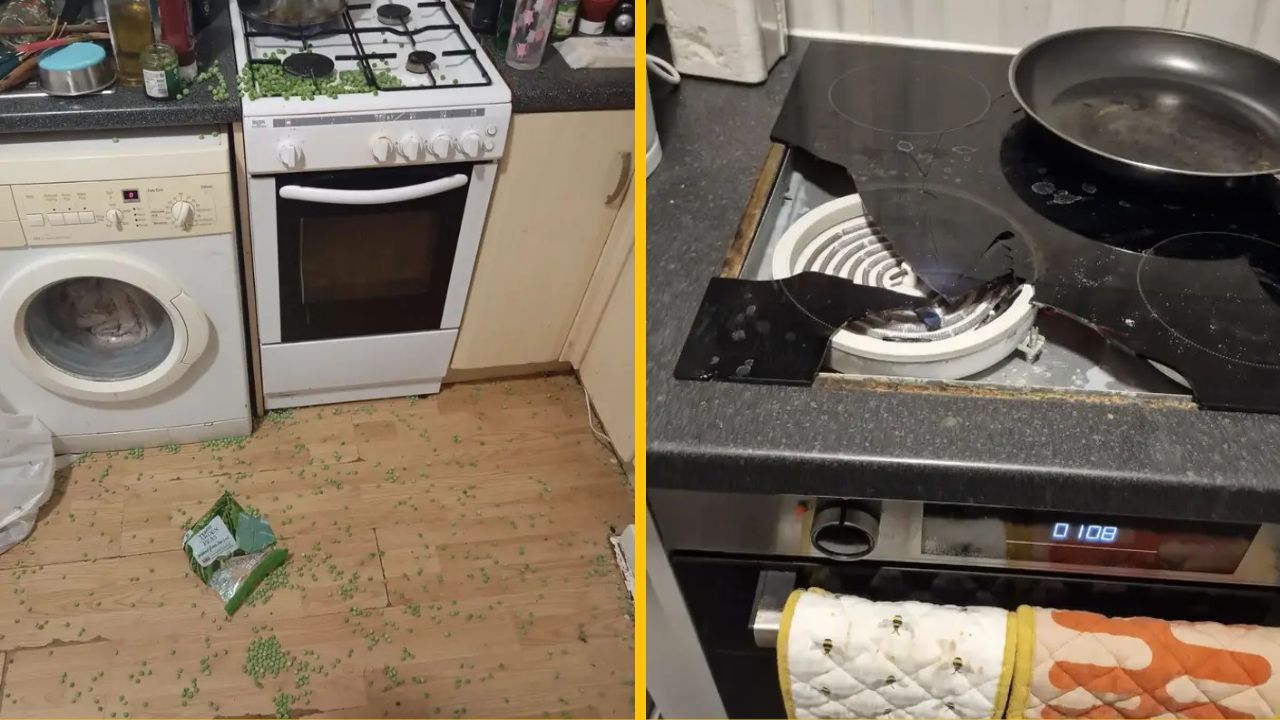 10 fotografií zo života ľudí, ktorí mali naozaj poriadnu smolu