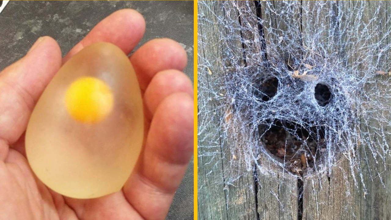 16-krát si príroda našla spôsob, ako nás omráčiť svojou výnimočnosťou