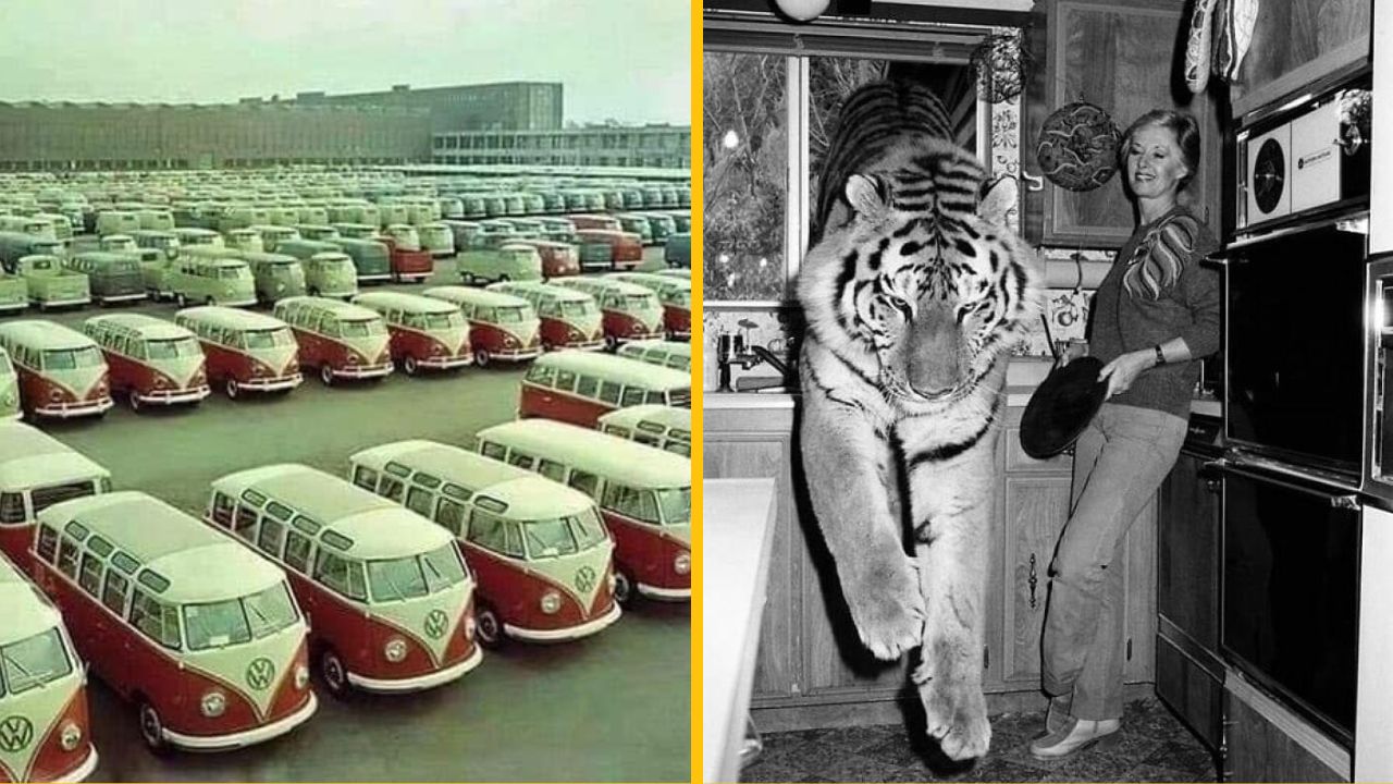 10 úsmevných a unikátnych záberov z histórie, ktoré stoja za pozornosť aj dnes