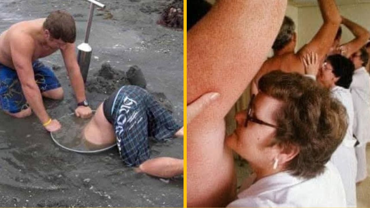 10 škodoradostných fotografií, po ktorých budete radi za to, akú máte prácu