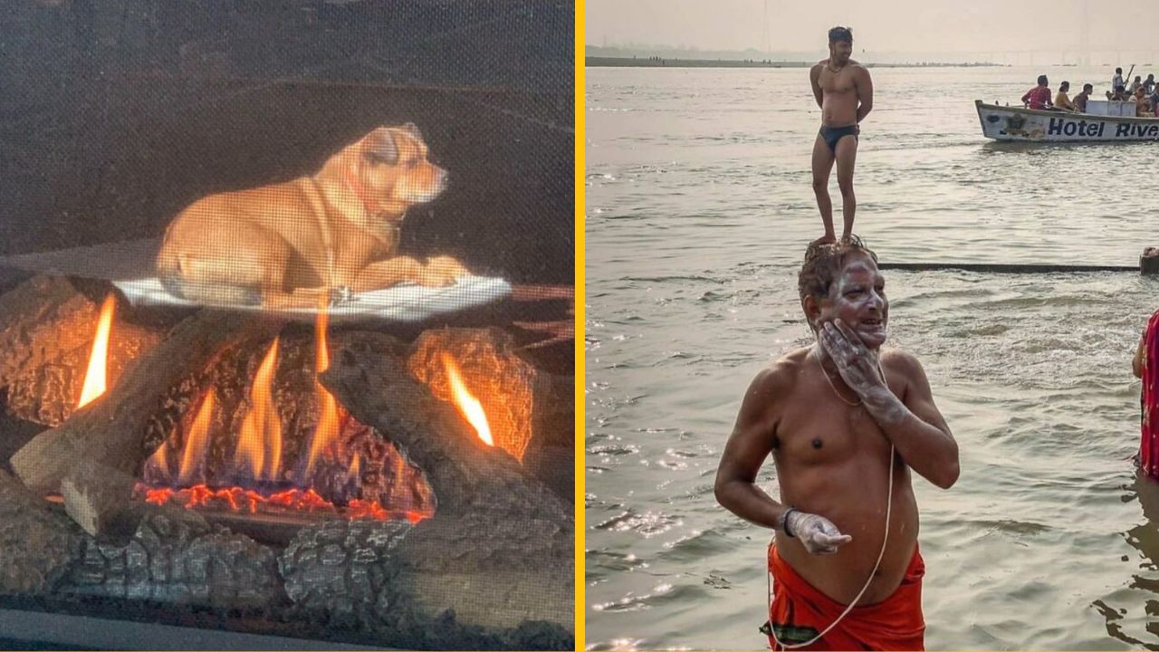 10 náhodných vtipných fotografií, ktoré vám zlepšia deň #2