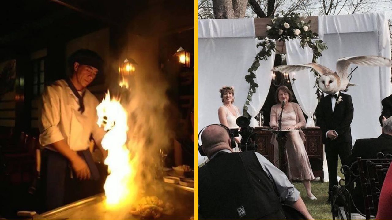 15 perfektne načasovaných fotiek, ktoré vás uchvátia aj rozosmejú