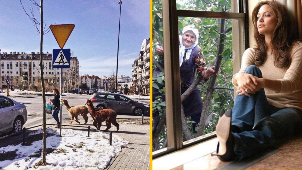 10 zábavných fotiek, ktoré je možné vidieť iba v Poľsku #8