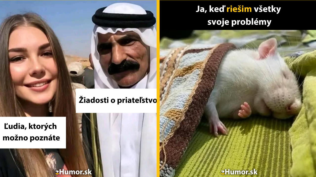 Zopár memečiek, ktoré vznikli, aby ti spríjemnili deň #1527: Aspoň niekto vie oceniť moju krásu.