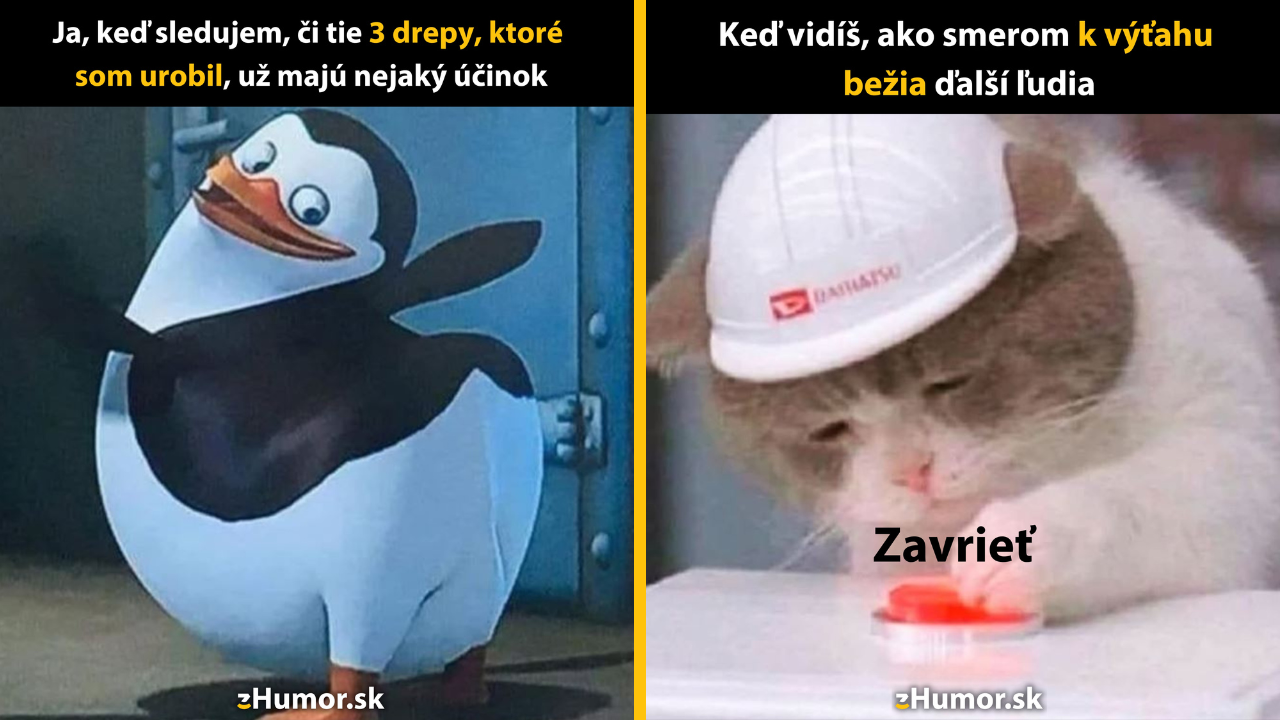 Zopár memečiek, ktoré vznikli, aby ti spríjemnili deň #1529: To sa neoplatí, veď sa nič nedeje.