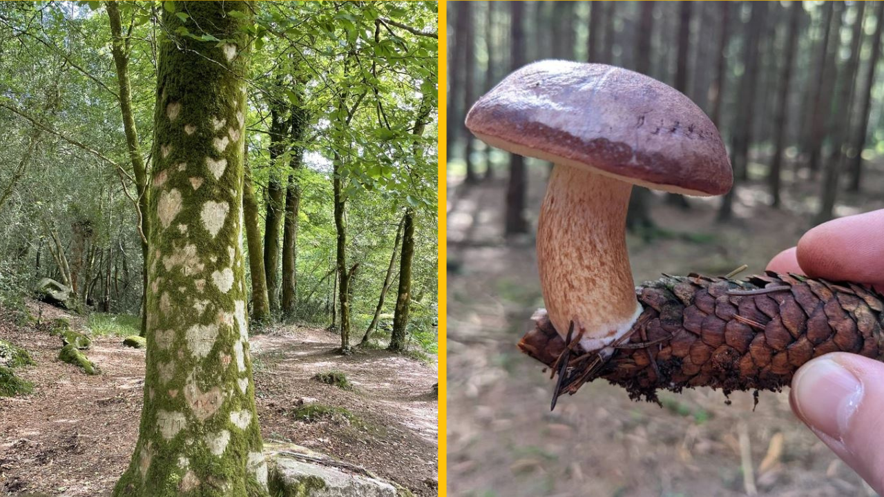 18 fotografií, ktoré ukazujú prírodu zo stránky, ktorú ste ešte nevideli