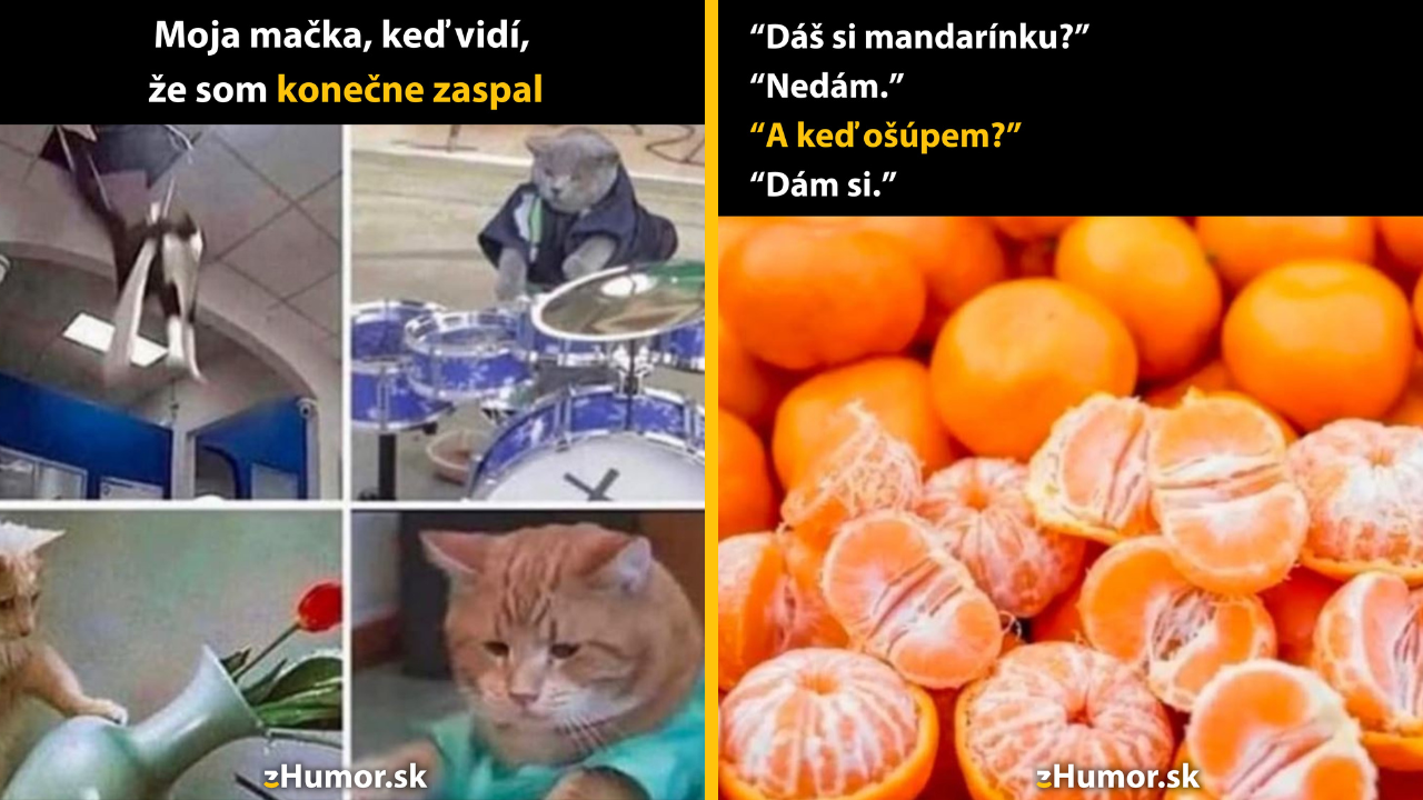 Zopár memečiek, ktoré vznikli, aby ti spríjemnili deň #1531: Teraz ti ukážem, kto tu je pánom.